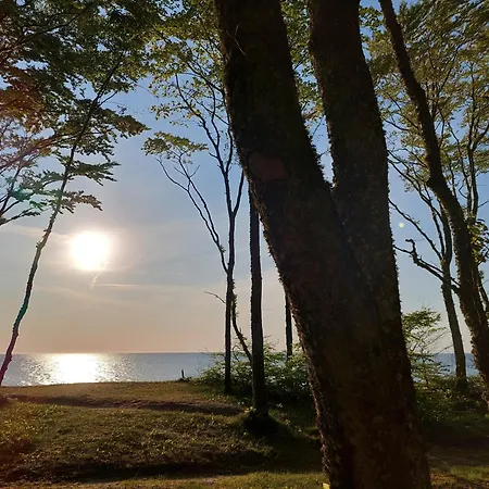 Apartament Dębina Lounge Z Tarasem Na Dachu *