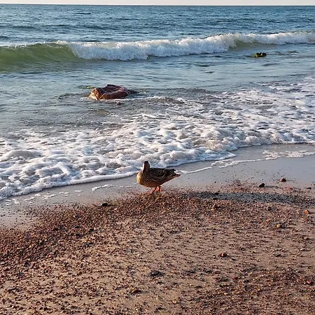 Dębina Lounge Z Tarasem Na Dachu Debina (Ustka)