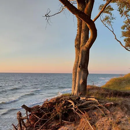 Dębina Lounge Z Tarasem Na Dachu Apartament