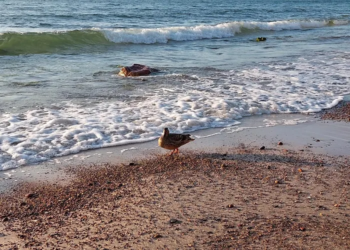 Debina Lounge Z Tarasem Na Dachu Debina (Ustka)